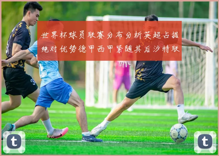 世界杯球员联赛分布分析英超占据绝对优势德甲西甲紧随其后沙特联排名第六