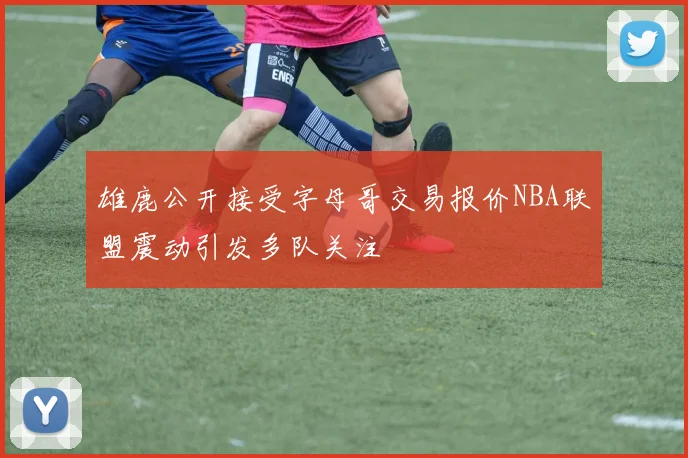 雄鹿公开接受字母哥交易报价NBA联盟震动引发多队关注